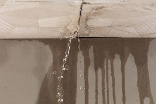 Professional Water Damage Repair technician working in North Dakota, ND